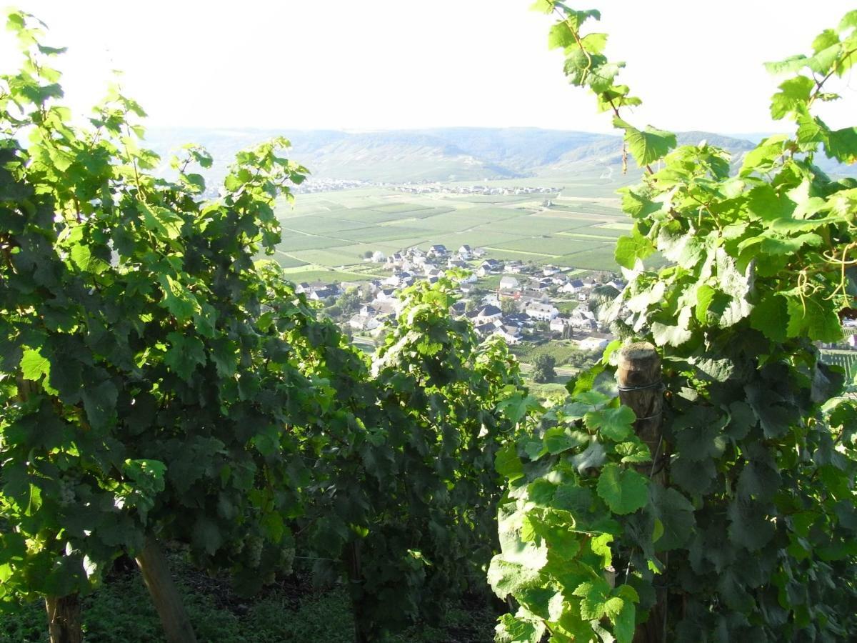 Ferienwohnung Bergblick Trittenheim Exterior foto